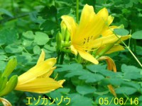 /album/%e5%8c%97%e3%81%ae%e7%86%8a%e7%88%ba/a4852-jpg/