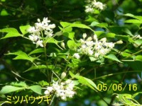 /album/%e5%8c%97%e3%81%ae%e7%86%8a%e7%88%ba/a4854-jpg/