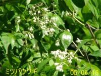 /album/%e5%8c%97%e3%81%ae%e7%86%8a%e7%88%ba/a4856-jpg/